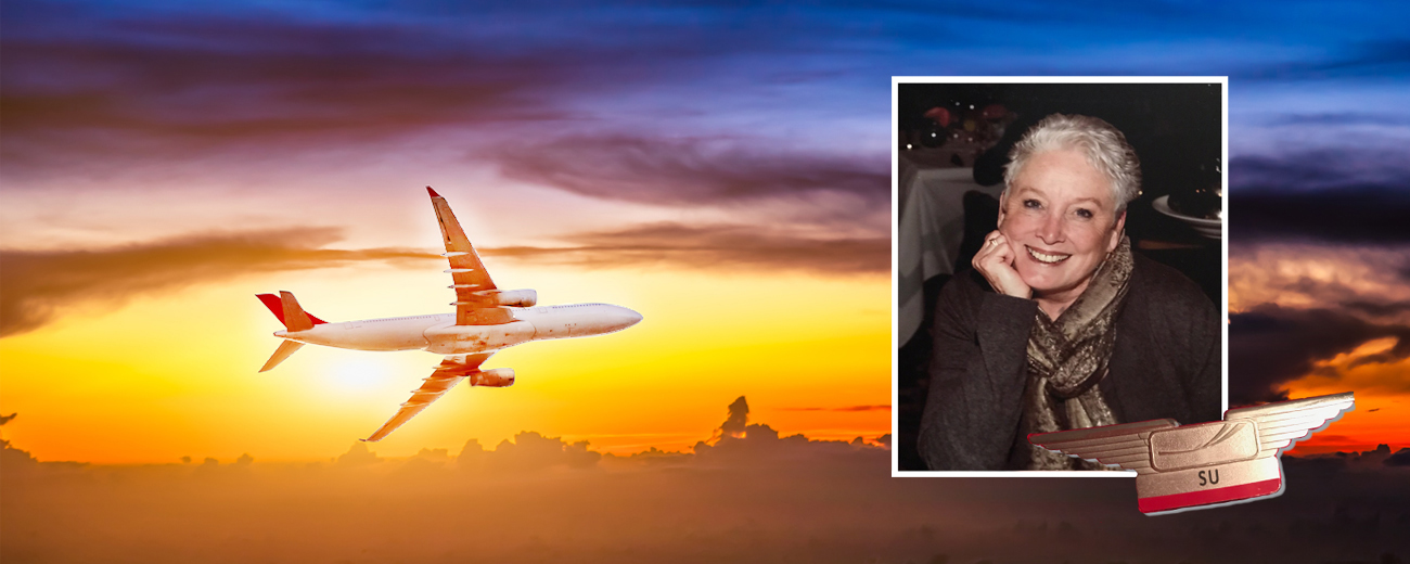 Su Egner, Author Flight Attendant with sunset and plane image